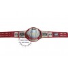 AEW TNT Championship Belt Replica Wrestling Belts Genuine Leather Strap