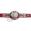 AEW TNT Championship Belt Replica Wrestling Belts Genuine Leather Strap