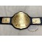 WWE Big Gold World Heavyweight Wrestling Championship Belt