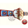 NWA Television Heavyweight Championship Title Replica Belt Adult Size