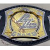  WWE Championship Spinner Replica Title Wrestling Belt 